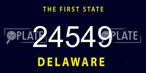24549 Delaware License Plate