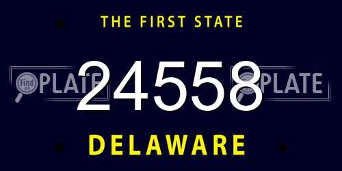24558 Delaware License Plate