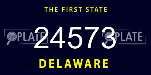 24573 Delaware License Plate