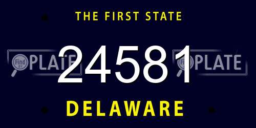 24581 Delaware License Plate