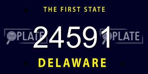 24591 Delaware License Plate