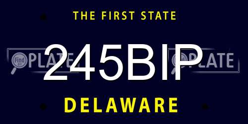 245BIP Delaware License Plate