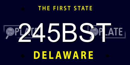 245BST Delaware License Plate