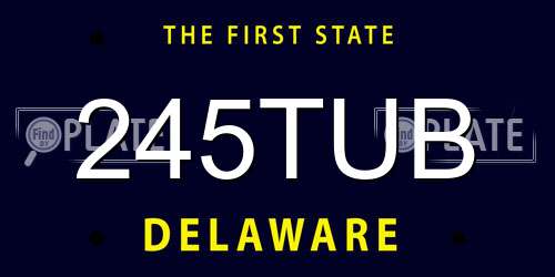 245TUB Delaware License Plate