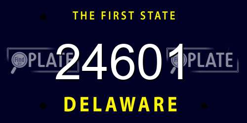 24601 Delaware License Plate