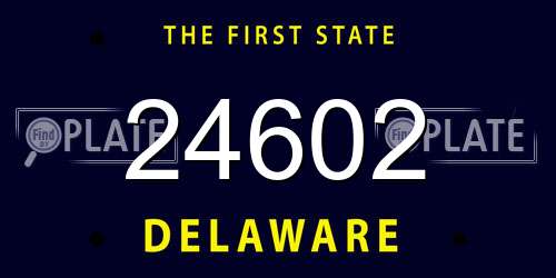 24602 Delaware License Plate