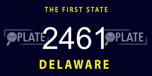 2461 Delaware License Plate