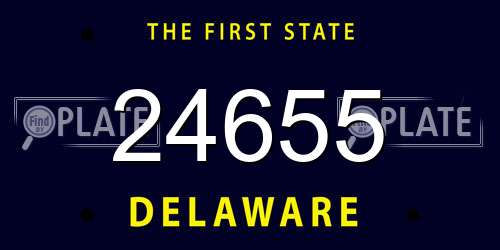 24655 Delaware License Plate