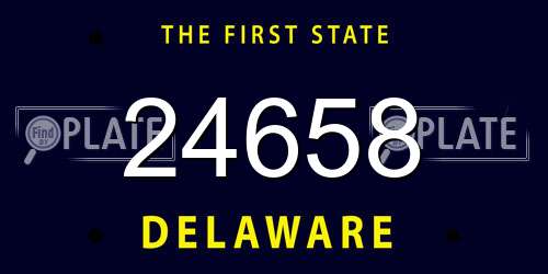 24658 Delaware License Plate