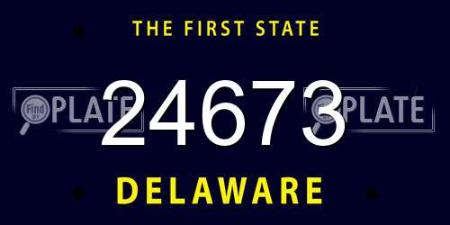 24673 Delaware License Plate