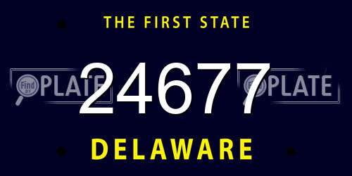 24677 Delaware License Plate