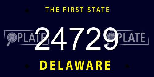 24729 Delaware License Plate