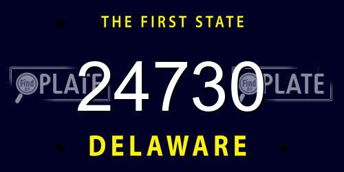 24730 Delaware License Plate