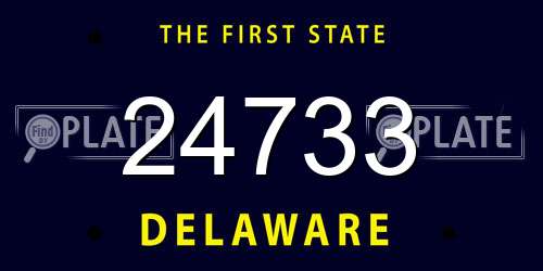 24733 Delaware License Plate