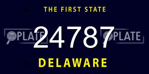 24787 Delaware License Plate