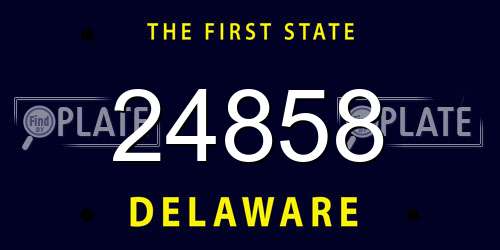24858 Delaware License Plate