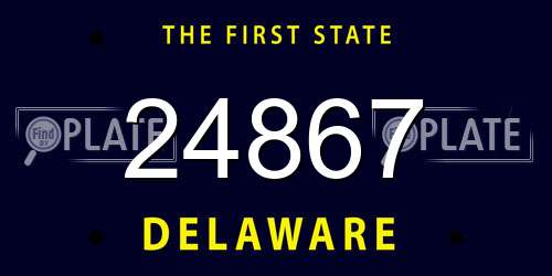 24867 Delaware License Plate