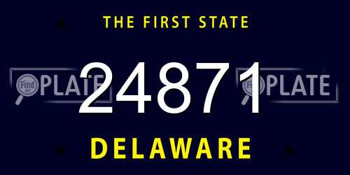 24871 Delaware License Plate
