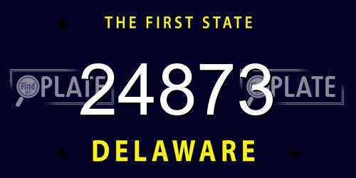 24873 Delaware License Plate