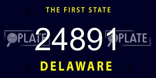 24891 Delaware License Plate