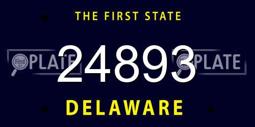 24893 Delaware License Plate