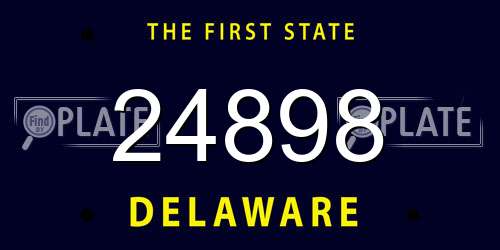 24898 Delaware License Plate