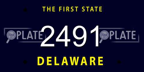 2491 Delaware License Plate