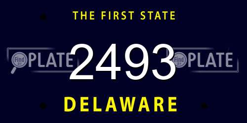 2493 Delaware License Plate
