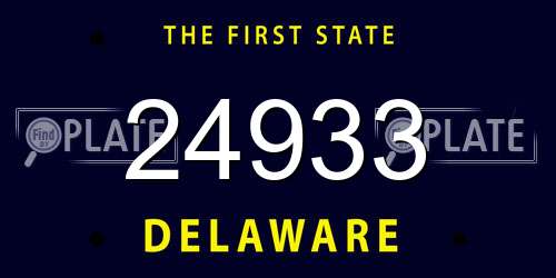 24933 Delaware License Plate