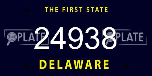 24938 Delaware License Plate