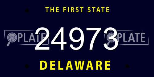 24973 Delaware License Plate