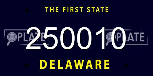 250010 Delaware License Plate