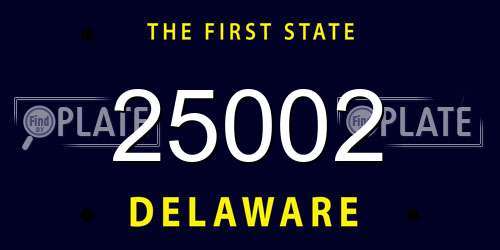 25002 Delaware License Plate