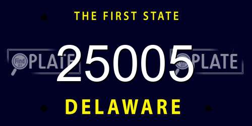 25005 Delaware License Plate