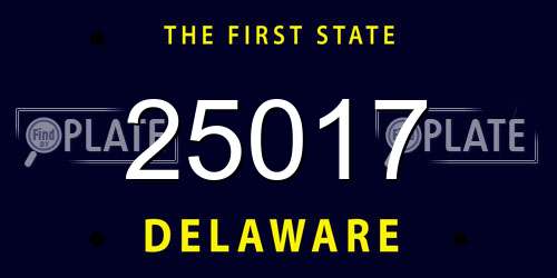 25017 Delaware License Plate