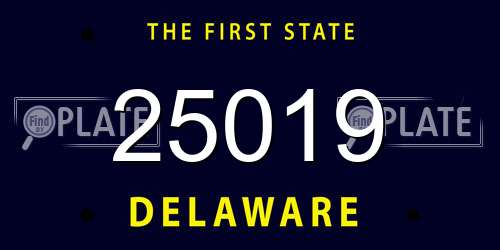 25019 Delaware License Plate
