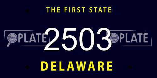 2503 Delaware License Plate
