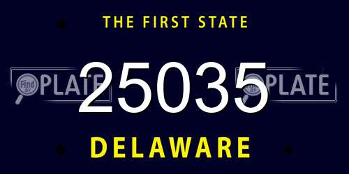 25035 Delaware License Plate