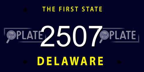 2507 Delaware License Plate