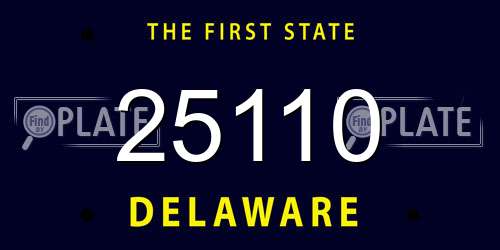 25110 Delaware License Plate