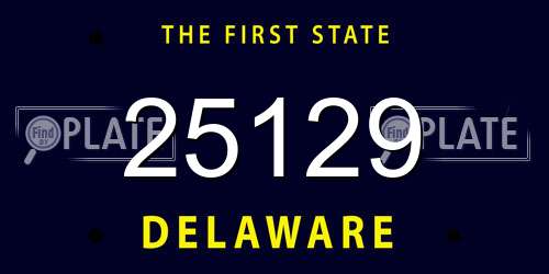 25129 Delaware License Plate