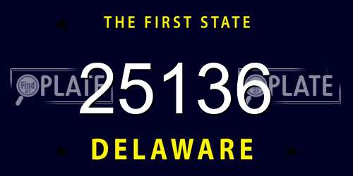 25136 Delaware License Plate