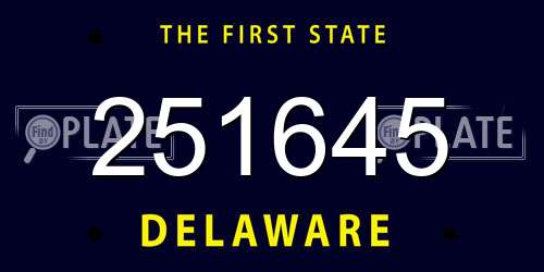 251645 Delaware License Plate