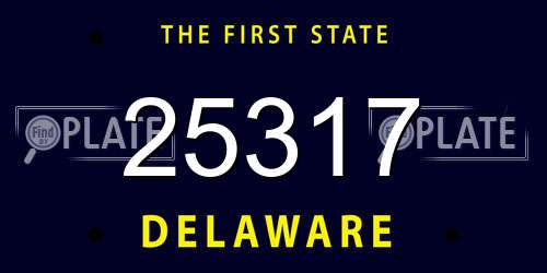 25317 Delaware License Plate