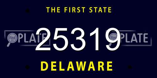 25319 Delaware License Plate