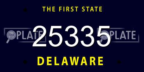 25335 Delaware License Plate