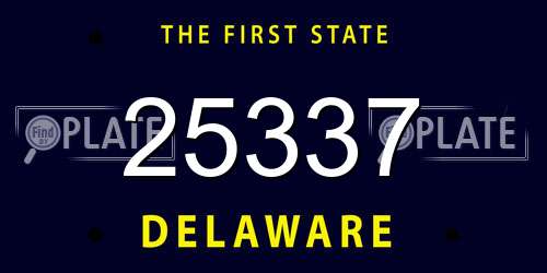 25337 Delaware License Plate