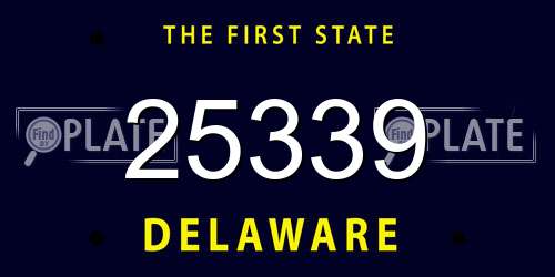 25339 Delaware License Plate