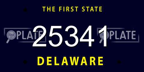 25341 Delaware License Plate