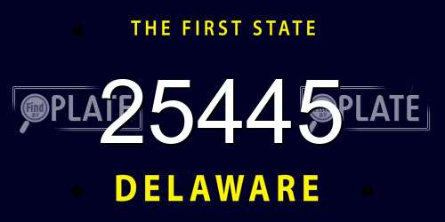 25445 Delaware License Plate